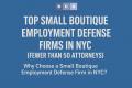 Top Small Boutique Employment Defense Firms in New York City (Fewer Than 50 Attorneys)