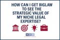 How Can I Get BigLaw to See the Strategic Value of My Niche Legal Expertise?